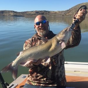 Meet your Posher, Richard